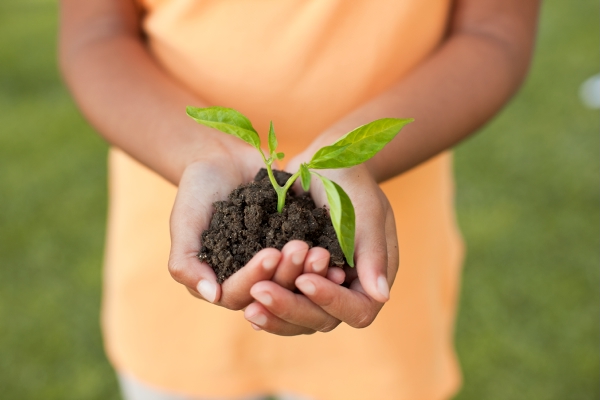 A person in an orange shirt with outstretched hands, which are cupped together holding loose soil and a small plant.