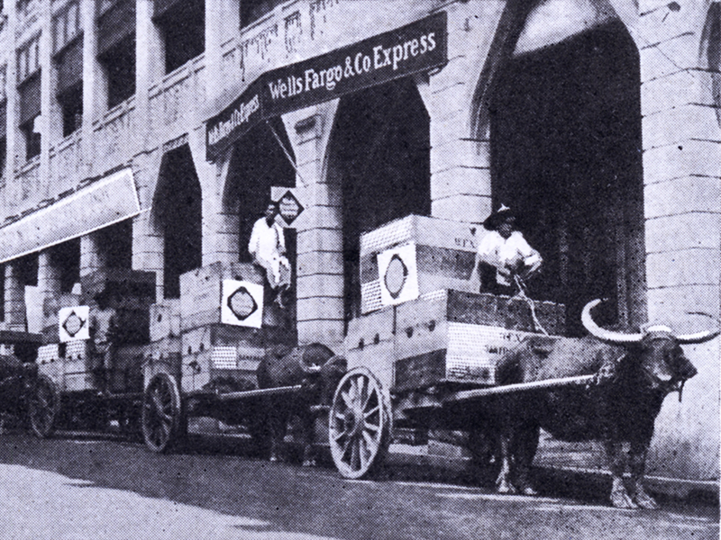 Three carabao, or water oxen each pull a two-wheeled wagon. Each wagon has a driver and boxes with a Wells Fargo diamond sign. All are lined up outside a building with a sign: Wells Fargo and Co. Express.