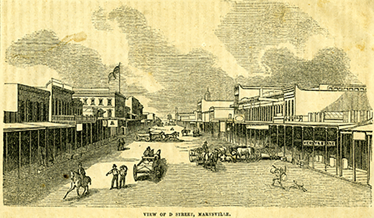 Illustration of city scene titled View of D Street, Marysville. Shows buildings lining either side of wide unpaved street, with wagons, cattle, horses and people in the street.