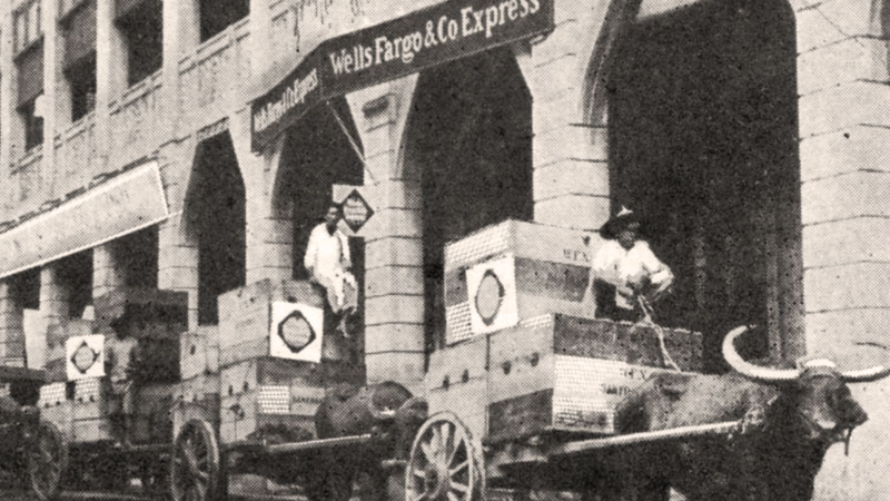 Building with Wells Fargo signs. Lined out front are three wagons pulled by water buffalo. On the wagons are piles of boxes with Wells Fargo diamond signs. Historic black and white photograph. Image link will enlarge image.