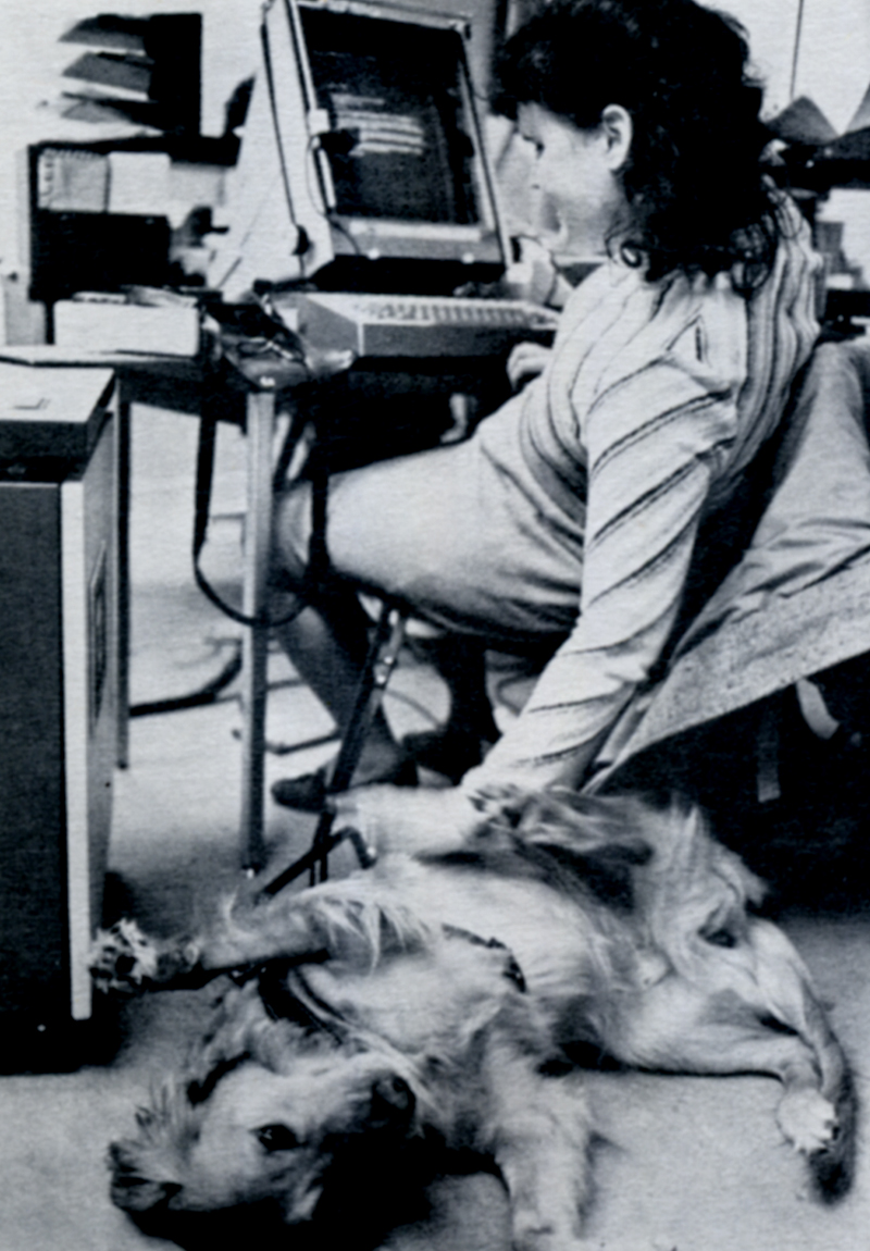 A woman seated at a desk full of papers and a large, box monitor reaches back behind her to pet her service dog who is sprawled out before her exposing its tummy. Image link will enlarge image.
