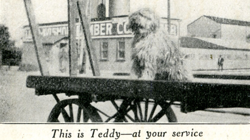 A long haired, shaggy dog sits upon a wagon flat bed. A factory building is in the background. Caption below reads: This is Teddy-at your service. Image link will enlarge image.
